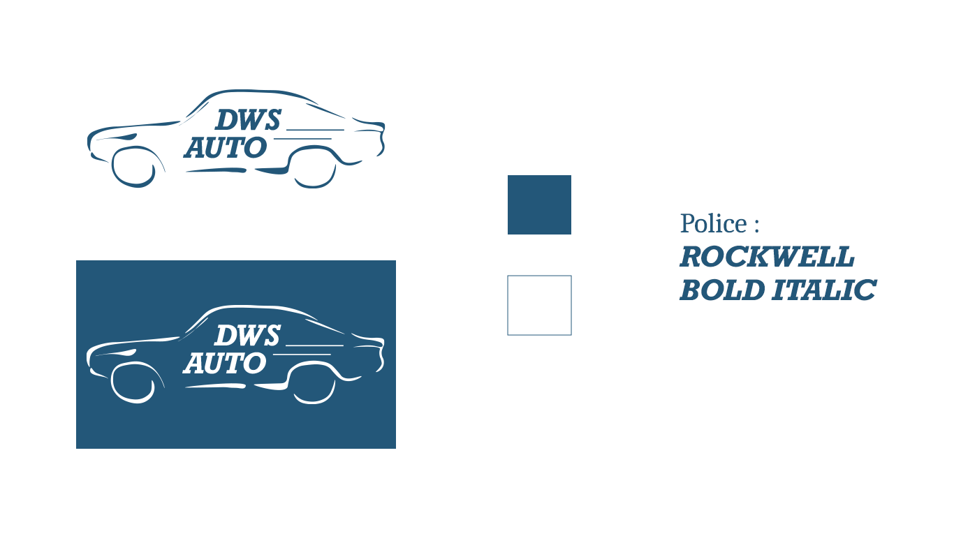 Planche identité visuelle DWS Auto